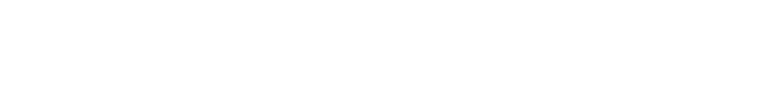Nanlux logo